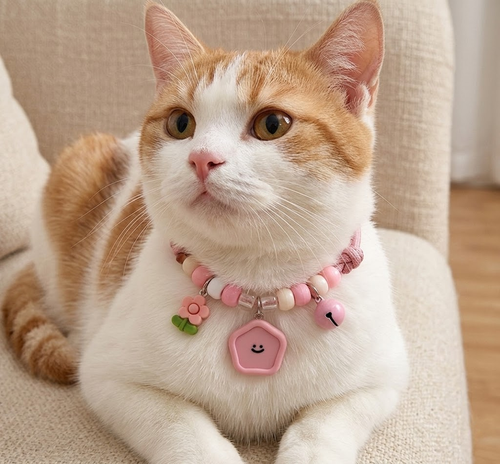 Adorable Smiley Face Pet Collar Set